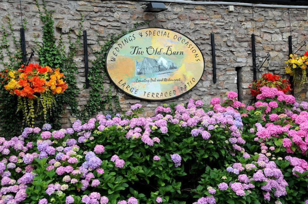 The Old Barn Inn ニューポート エクステリア 写真